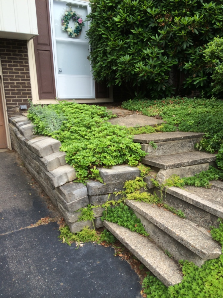 Photo(s) from Allsopp's Lawn Service