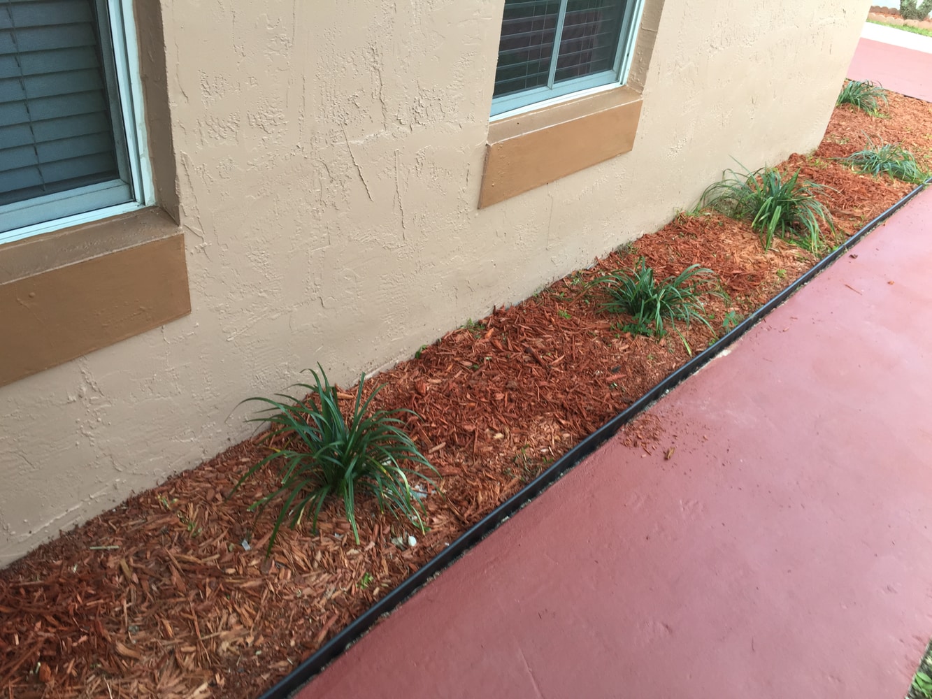 Vineyard Services' projects