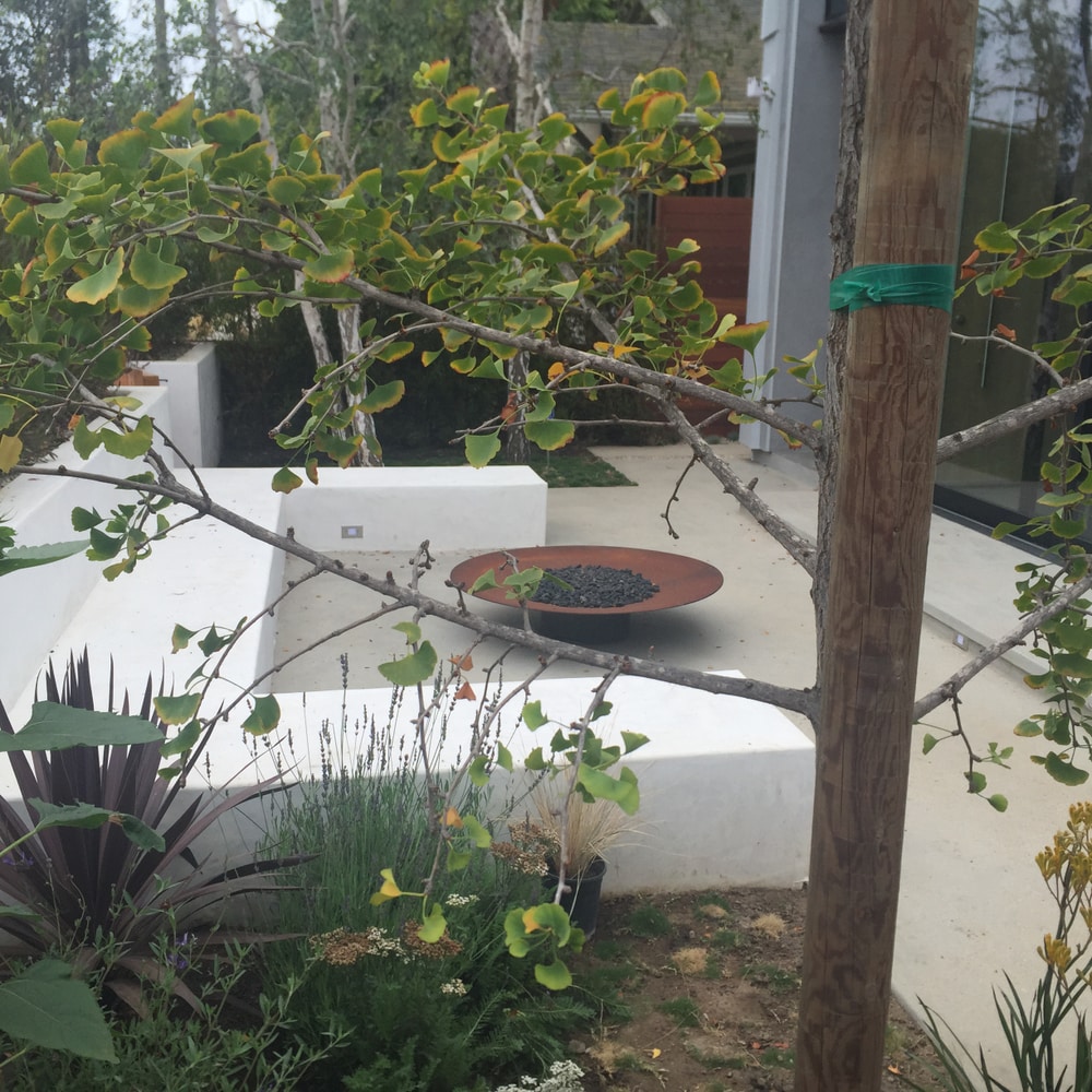 Photo(s) from A Clas Builders & Design Inc