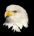 Simmons Electric Llc