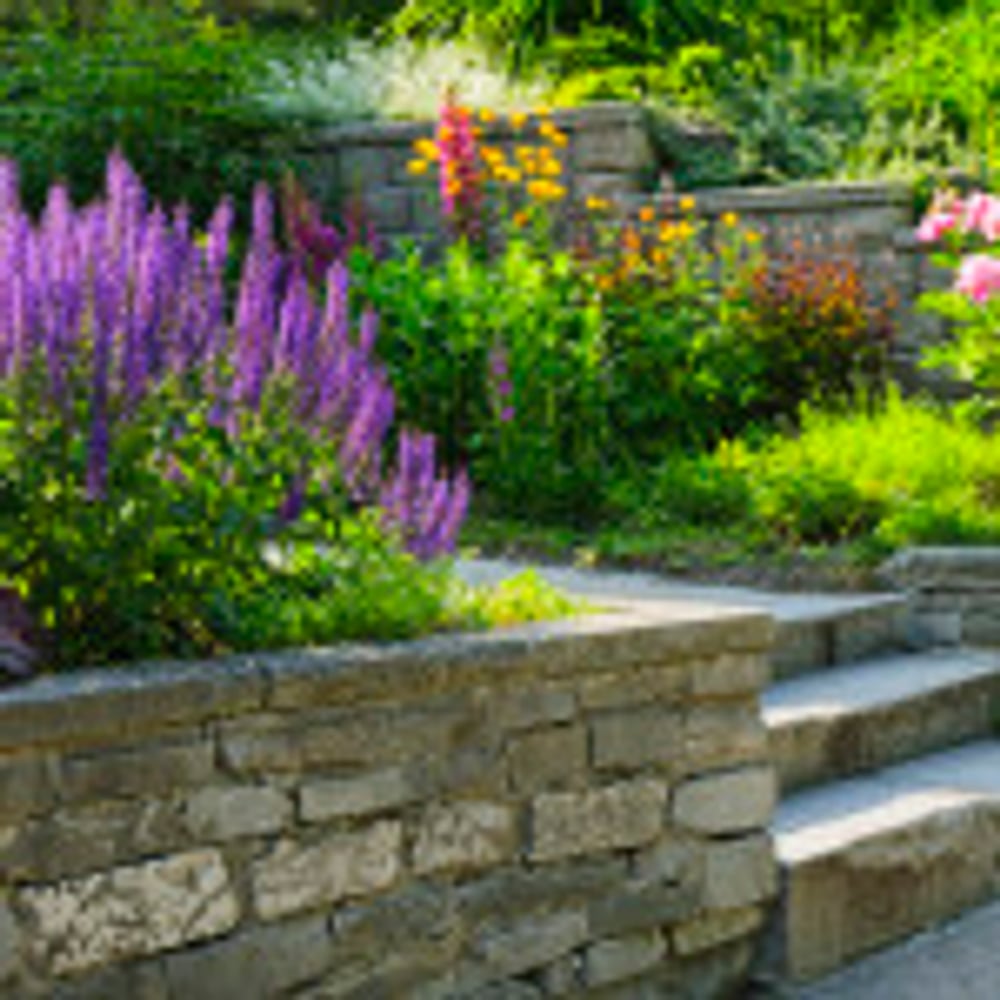 Photo(s) from All West of Colorado Tree service, Fence and Landscaping