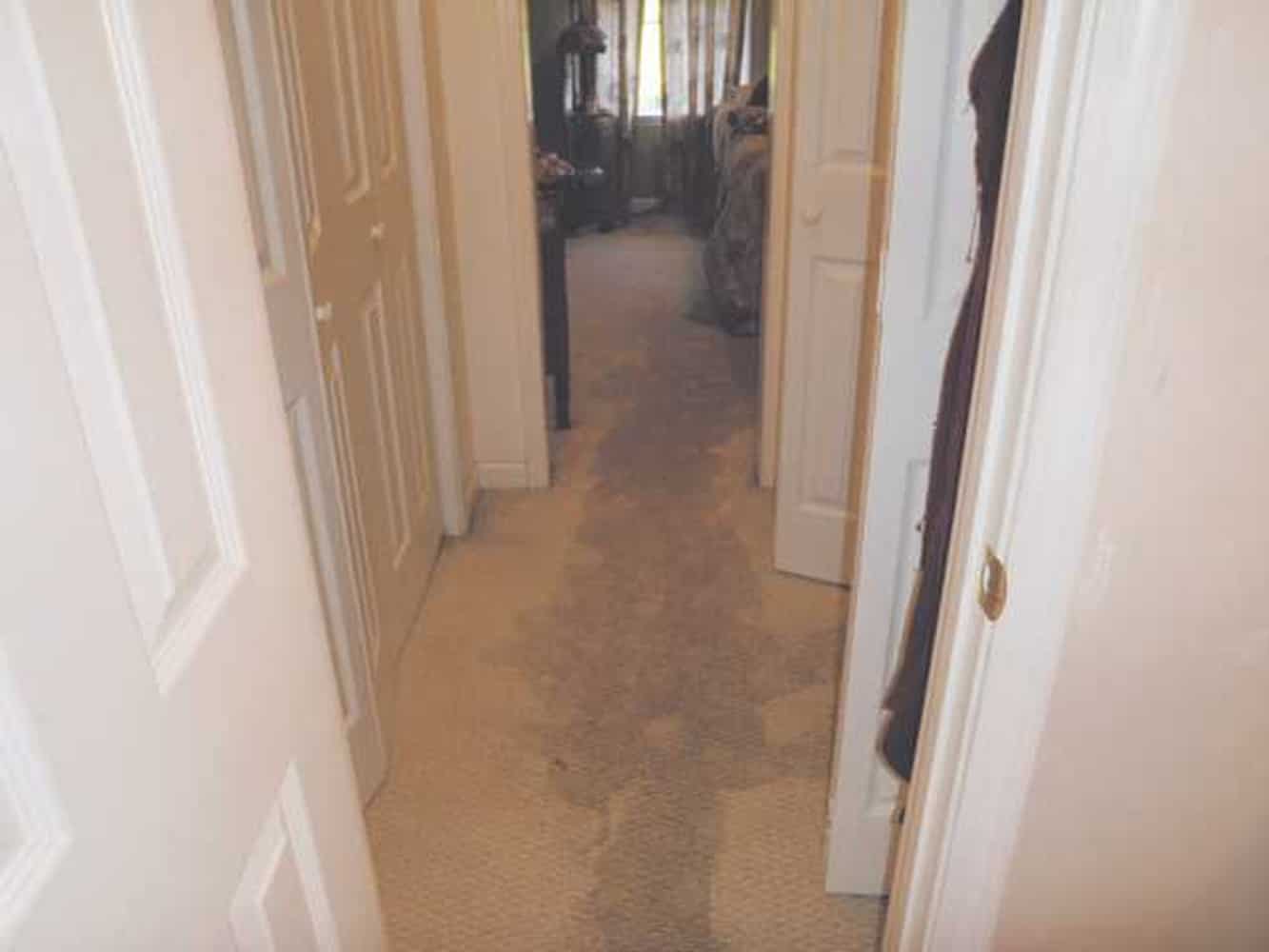 Photo(s) from OC Leak Detection