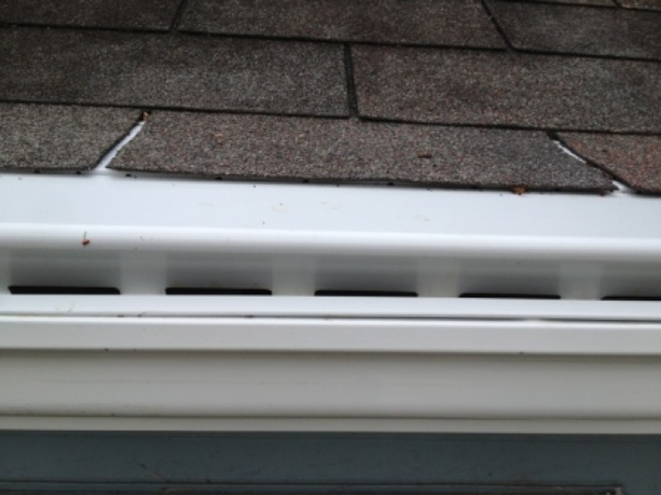 Roof, gutters, and skylights