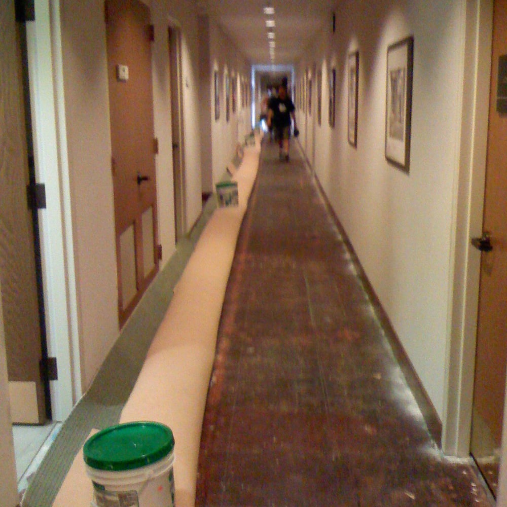 Hals Carpet & Vinyl Project