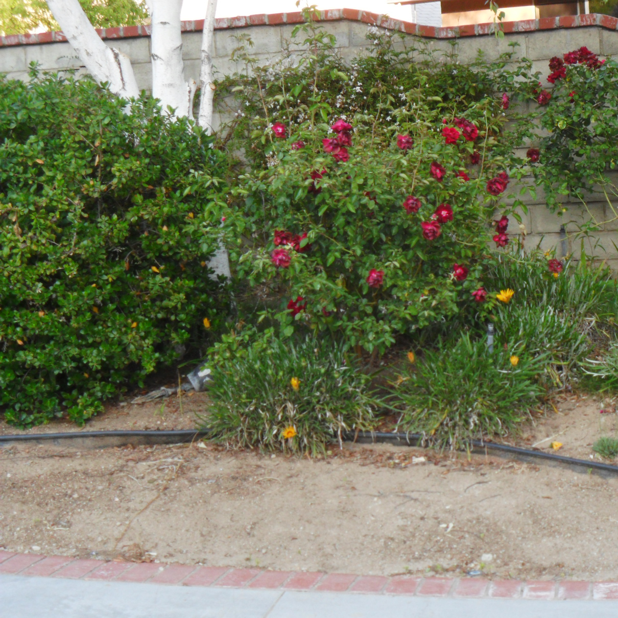 J G S Irrigation & Landscape Services