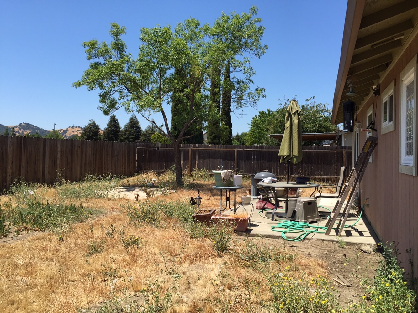 Photo(s) from A-2-Z Landscaping