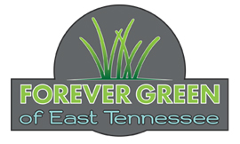 Forever Green of East Tennessee