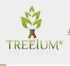 Treeium Eco Home Remodeling