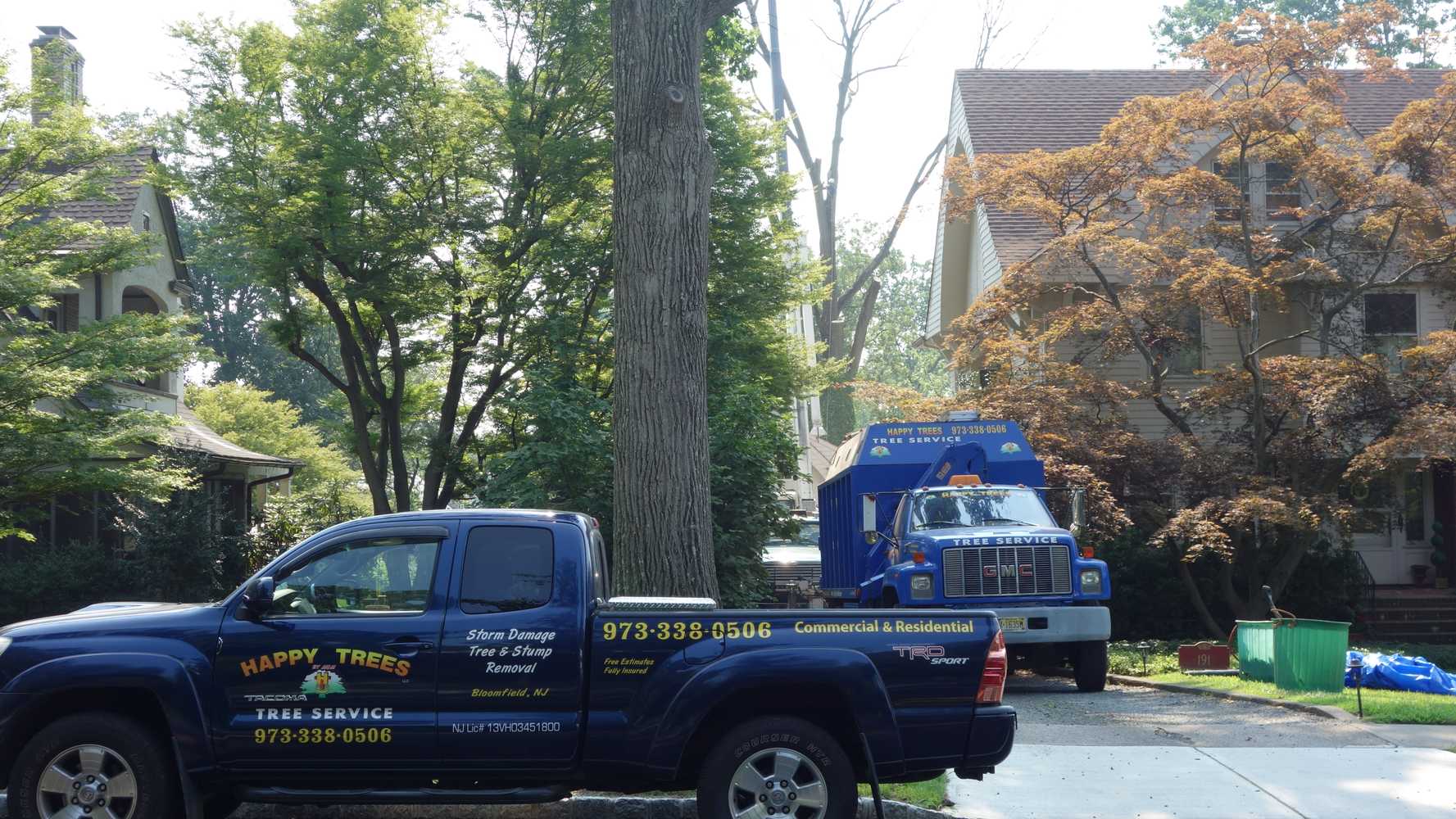 Photo(s) from Happy Trees By Mgm Tree Service And Landscape Llc