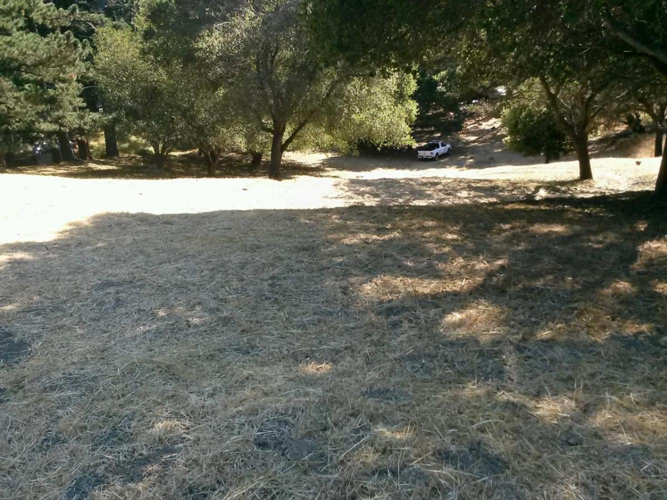 Oakland Hills Brush Clearing 