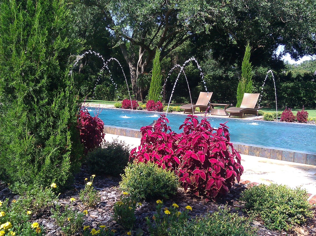 A C P Atlantis Custom Pools Inc Project