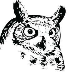 Higuera Construction