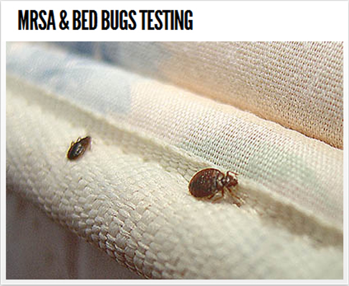 Projects by Rock Inspection Services