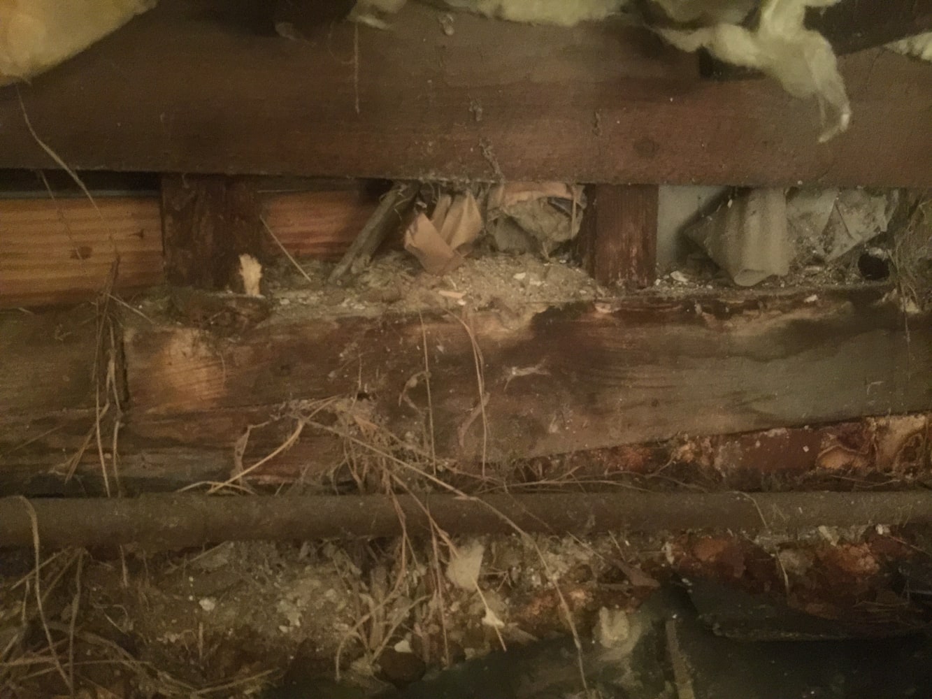 Photos from Norton Painting And Home Improvement