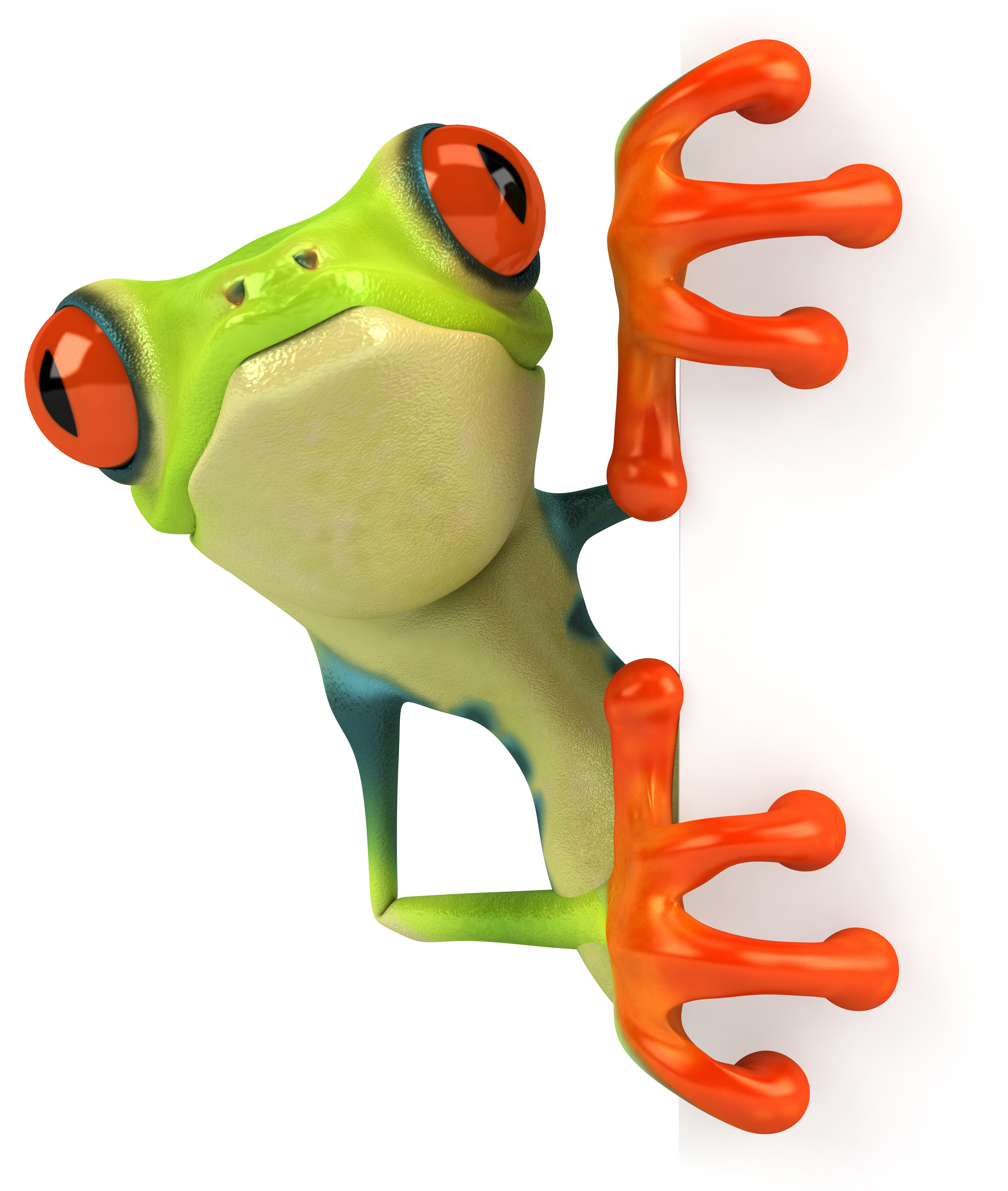 Green Frog Restoration