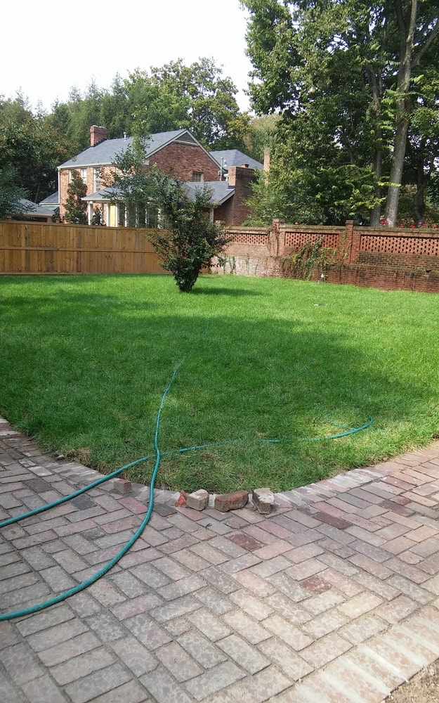 Sod Landscape