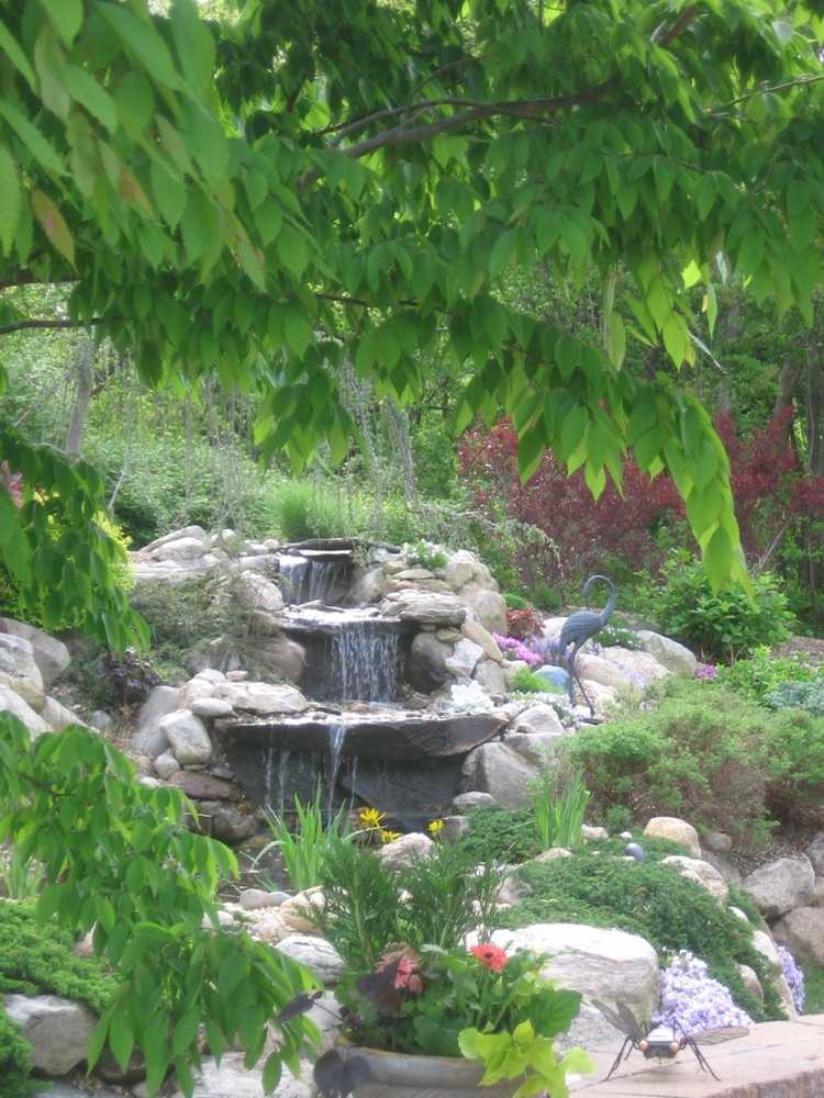 Pond & Waterfall Portfolio