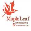Maple Leaf Landscaping & Maintenance, Inc.