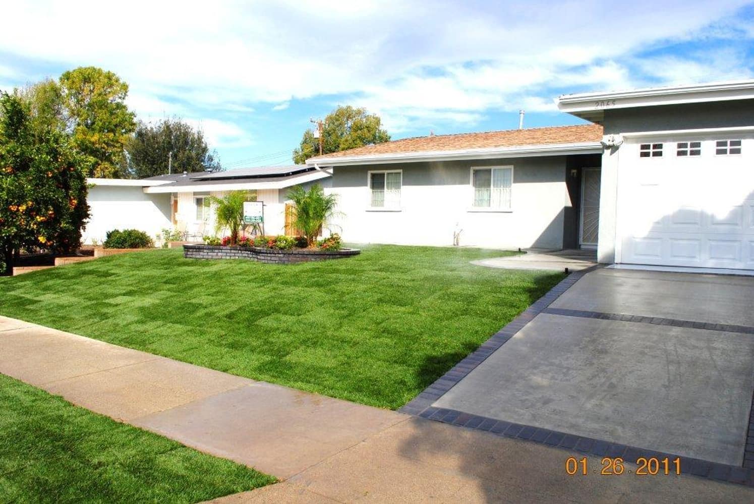 JACK'S NEW FRONT YARD