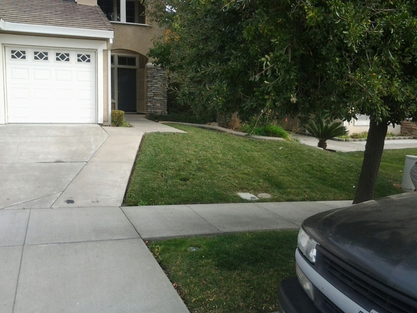 Photo(s) from A-2-Z Landscaping
