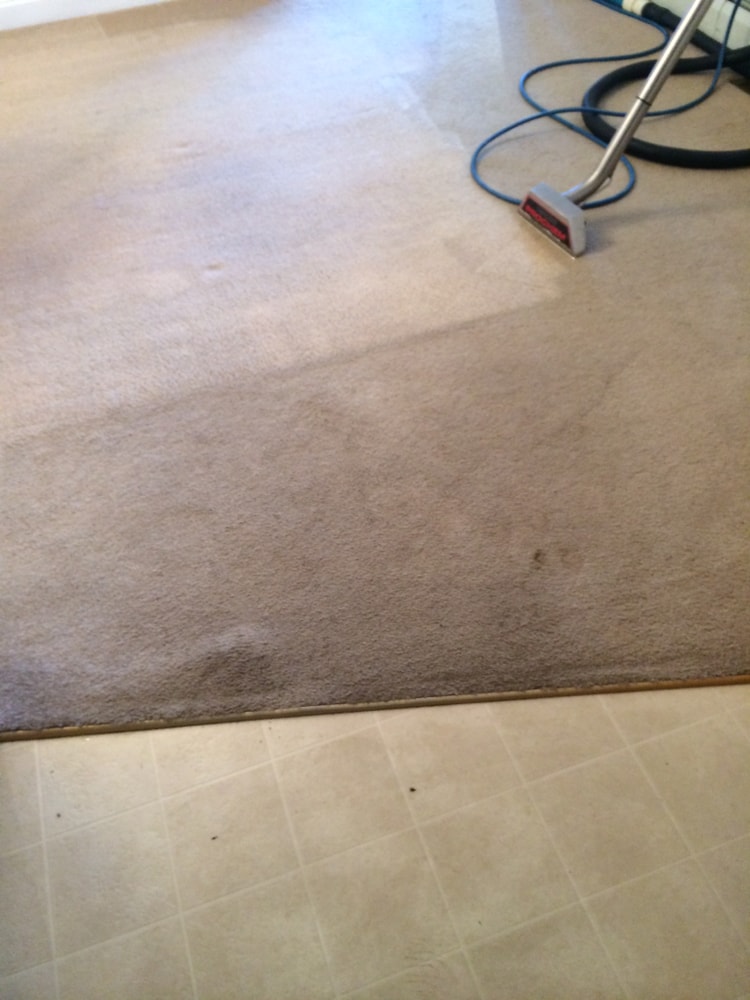 Carpet Cleaning