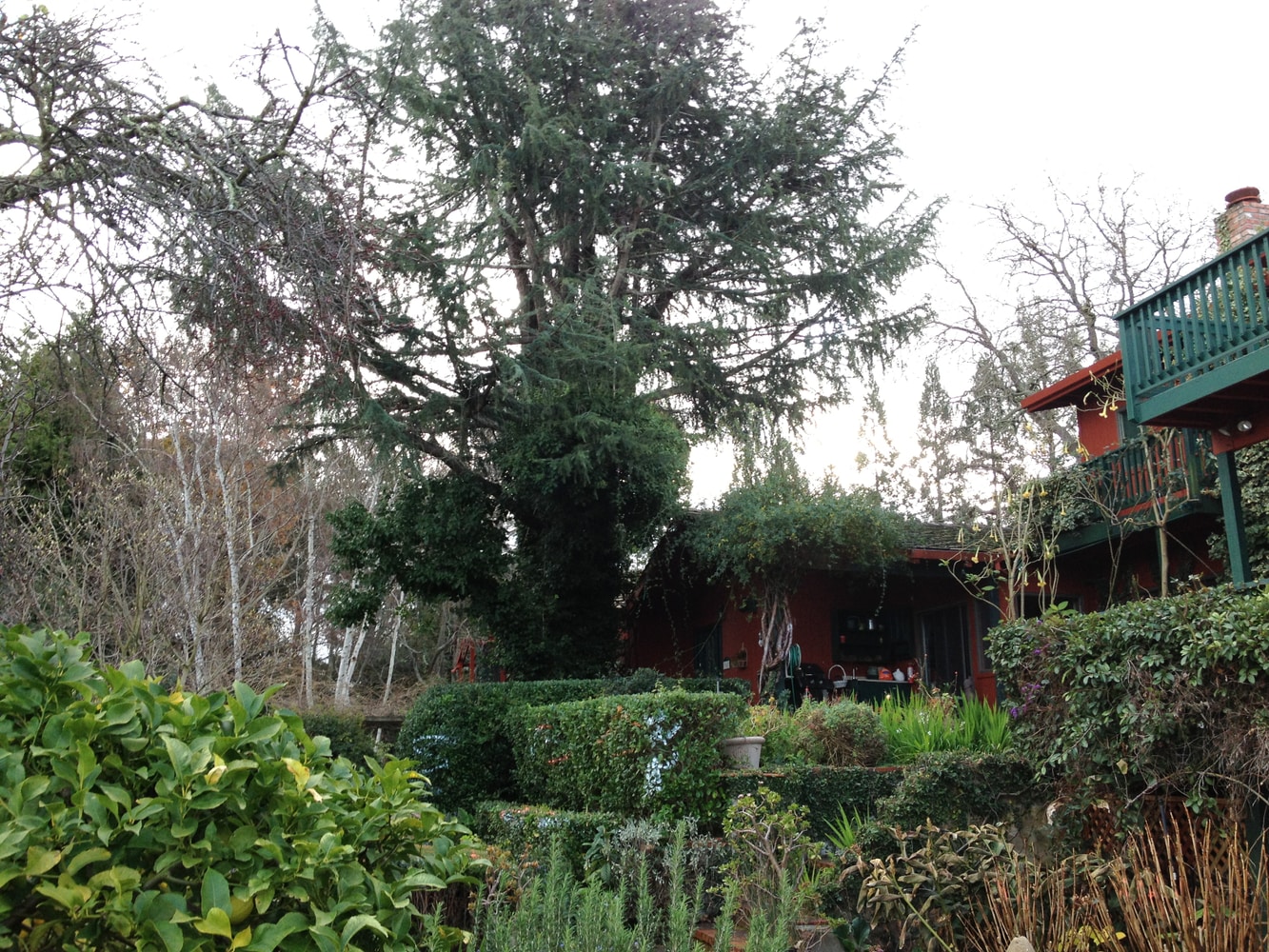 Major Improvement, Reconstruction, Remodeling