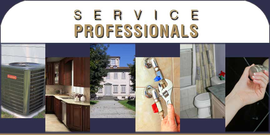 Service Professionals Inc