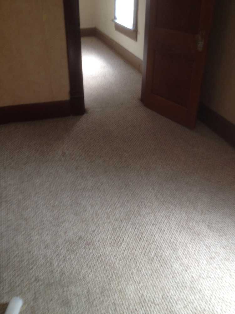 carpet cleaning and repair