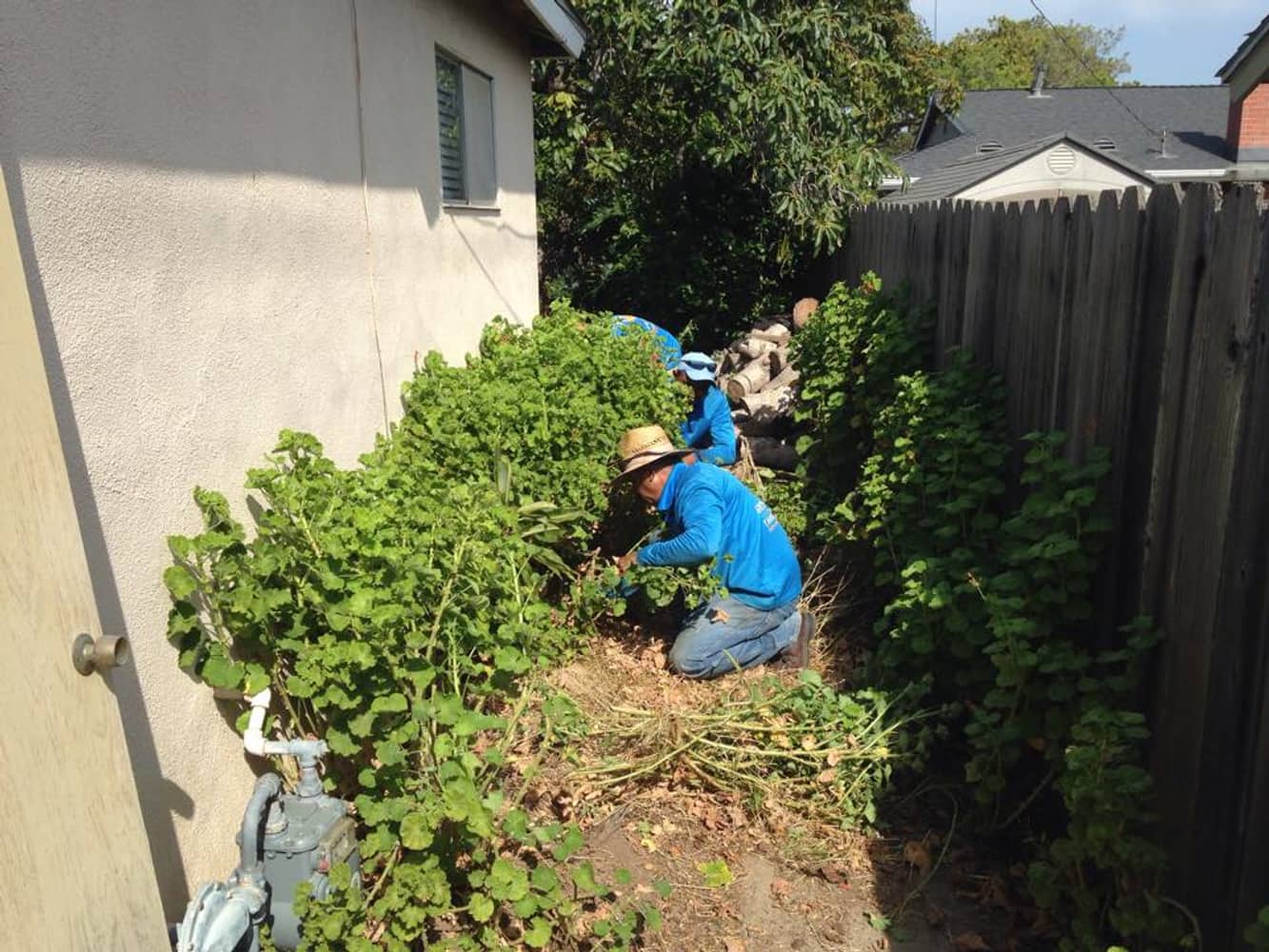 Landscaping And Garden Maintenance in Santa barbara