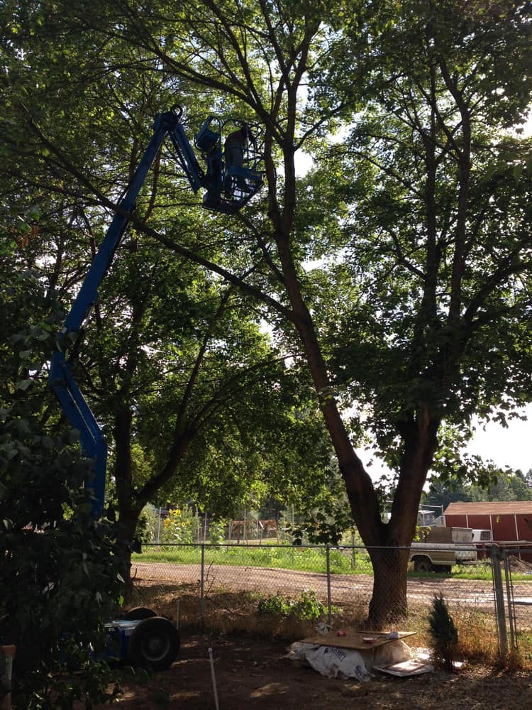 Additions/ Remodeling