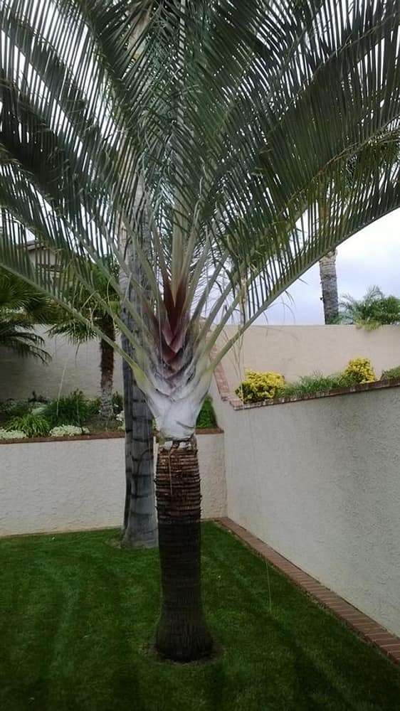 Photo(s) from All Green Maintenance