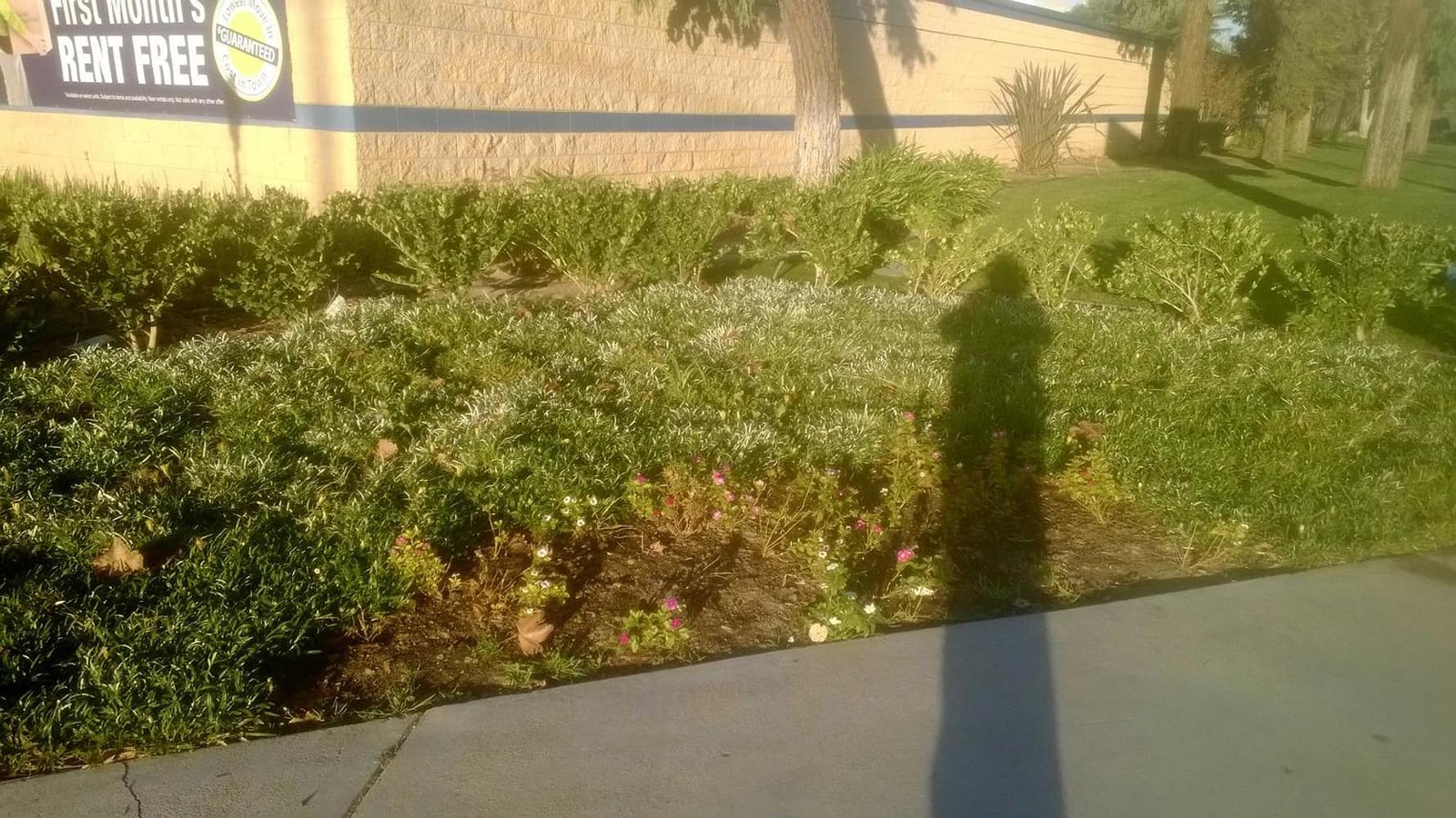 Photo(s) from All Green Maintenance