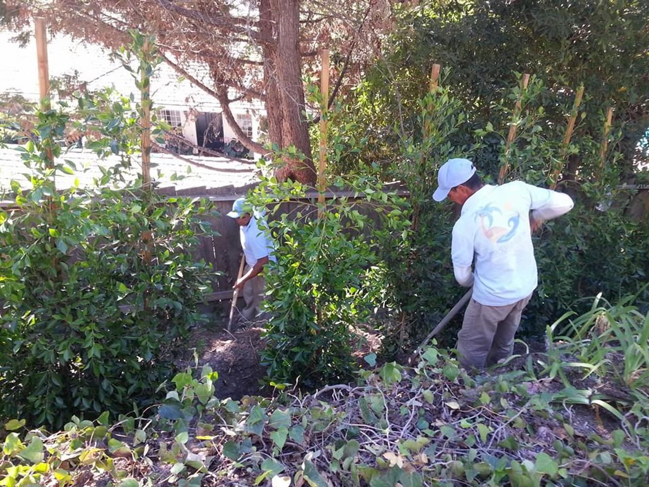 Landscaping And Garden Maintenance in Santa barbara