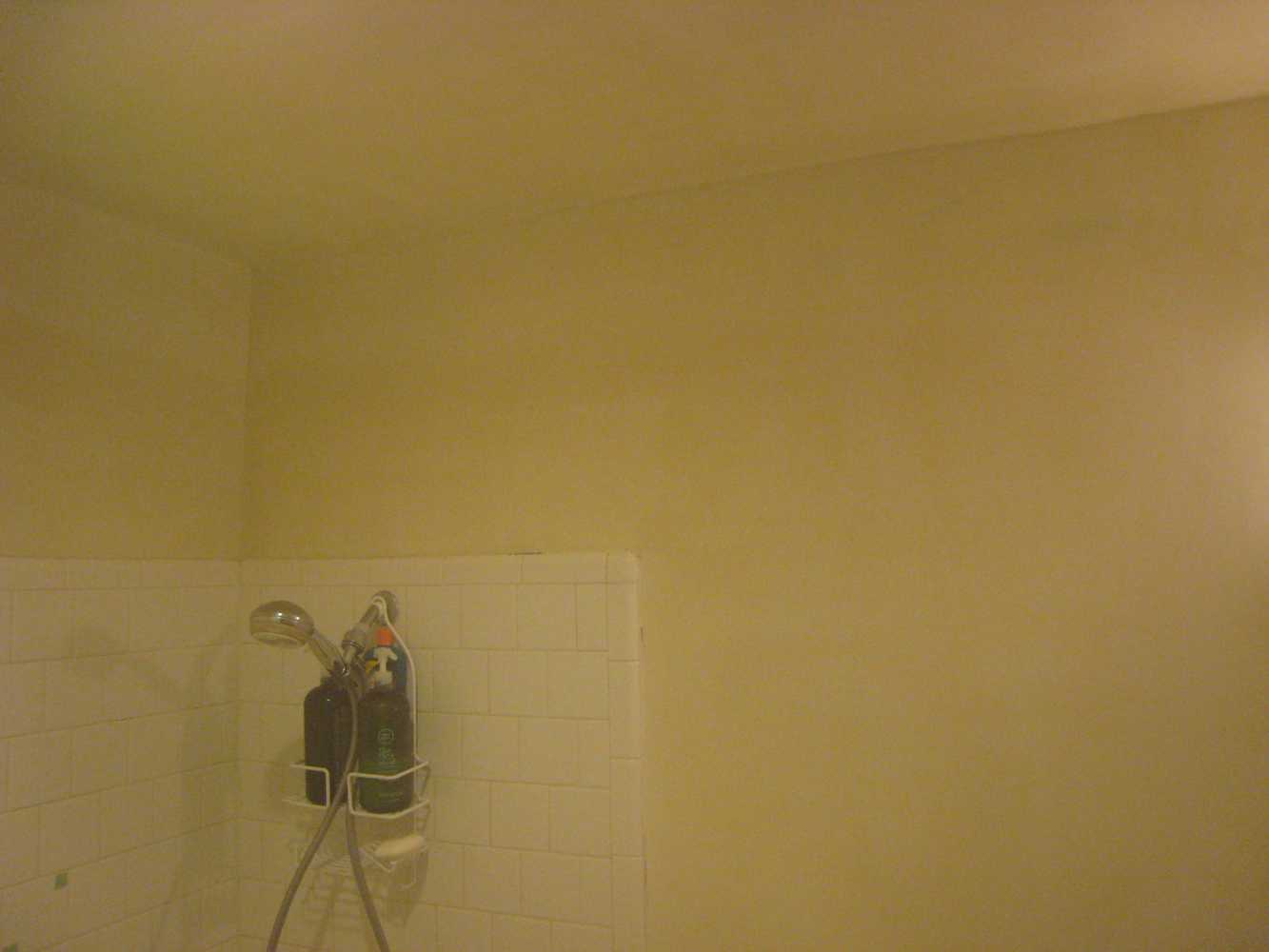 Interior Plaster Repair