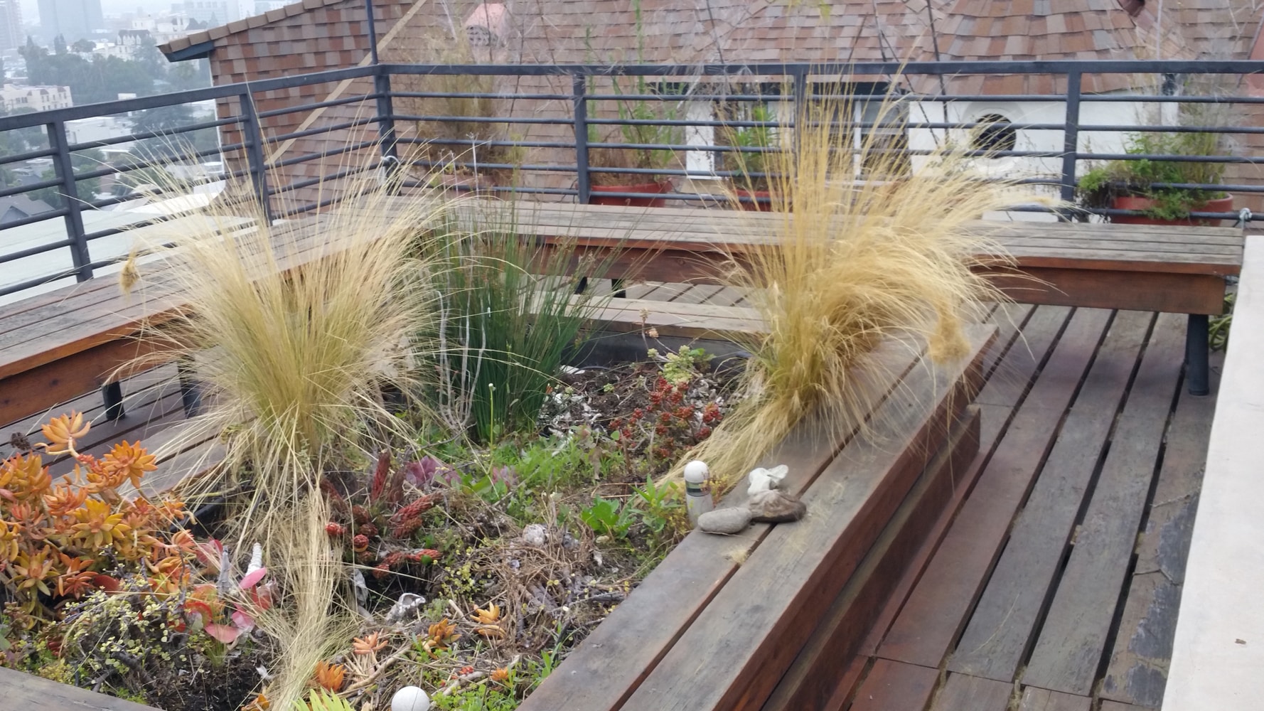 Rooftop Hollywod Hills