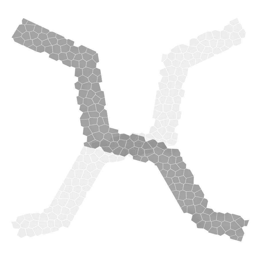 Matt Leone Architect