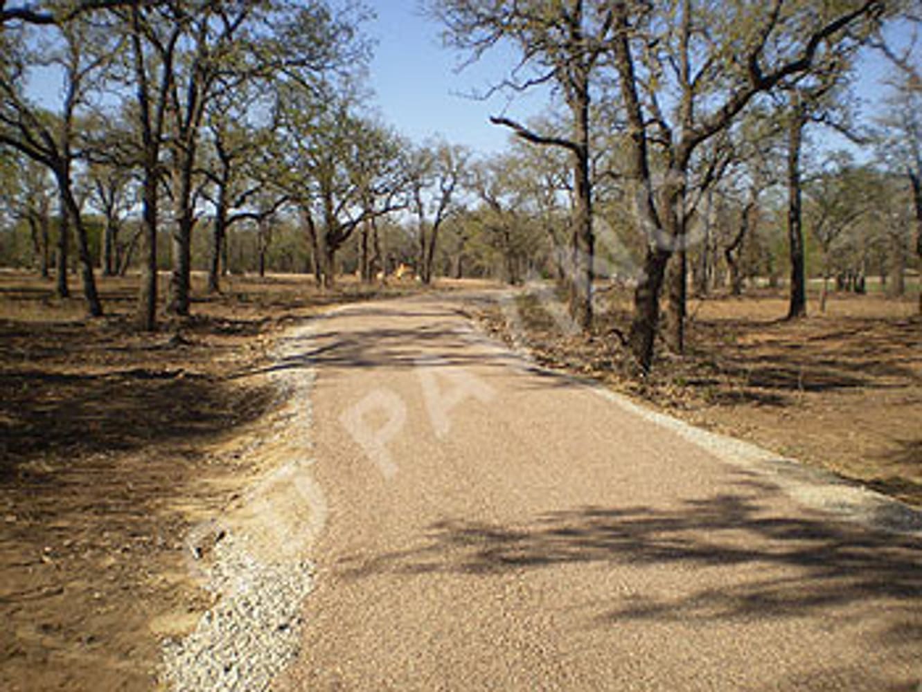 Photo(s) from Cd Paving & Sealcoating