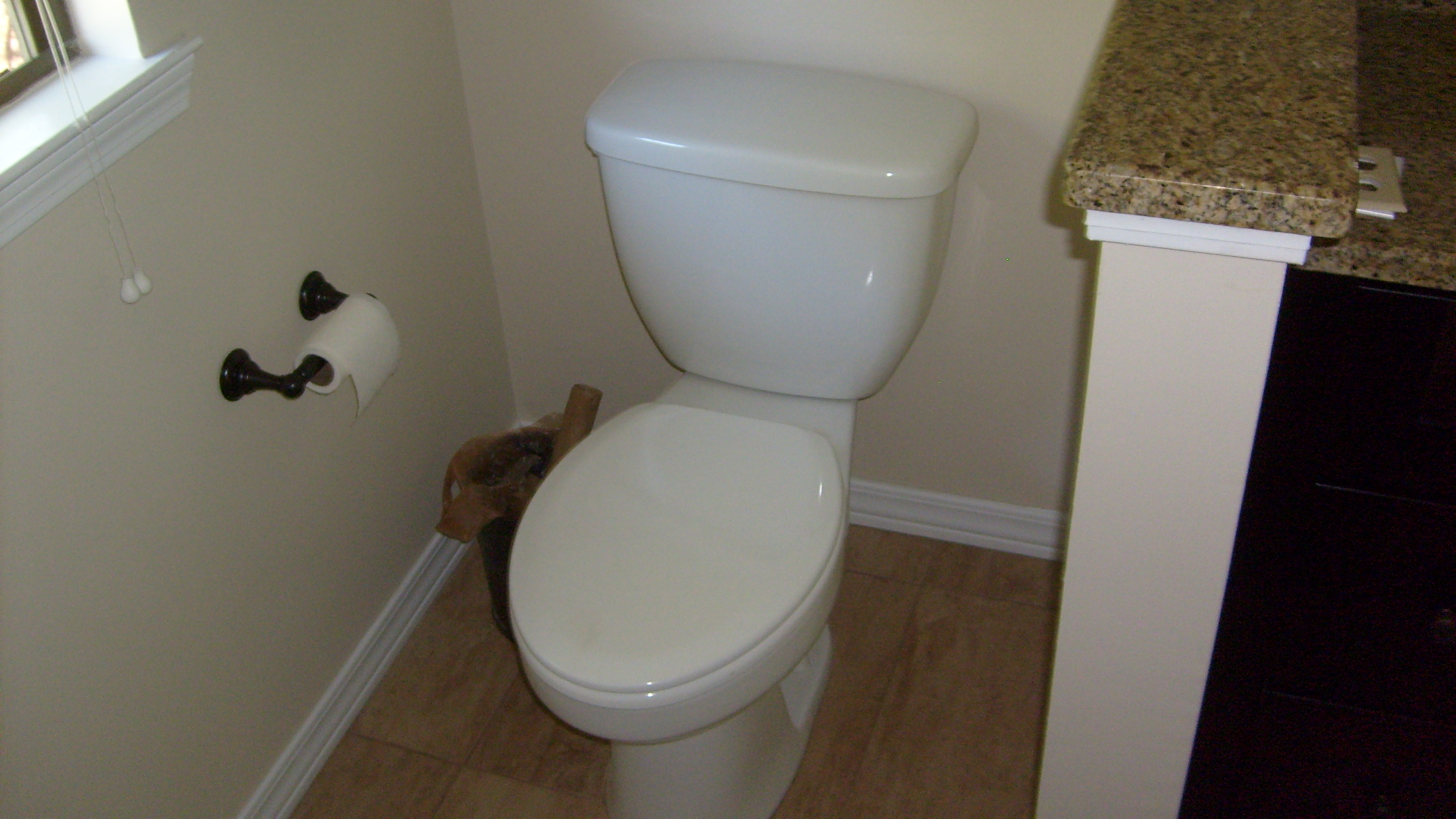 Photo(s) from REDLINE PLUMBING PLLC