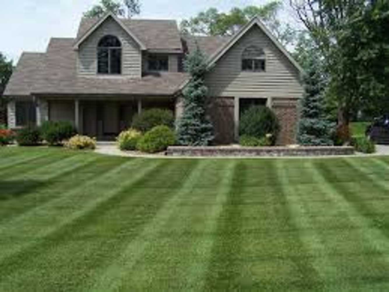 lawncare