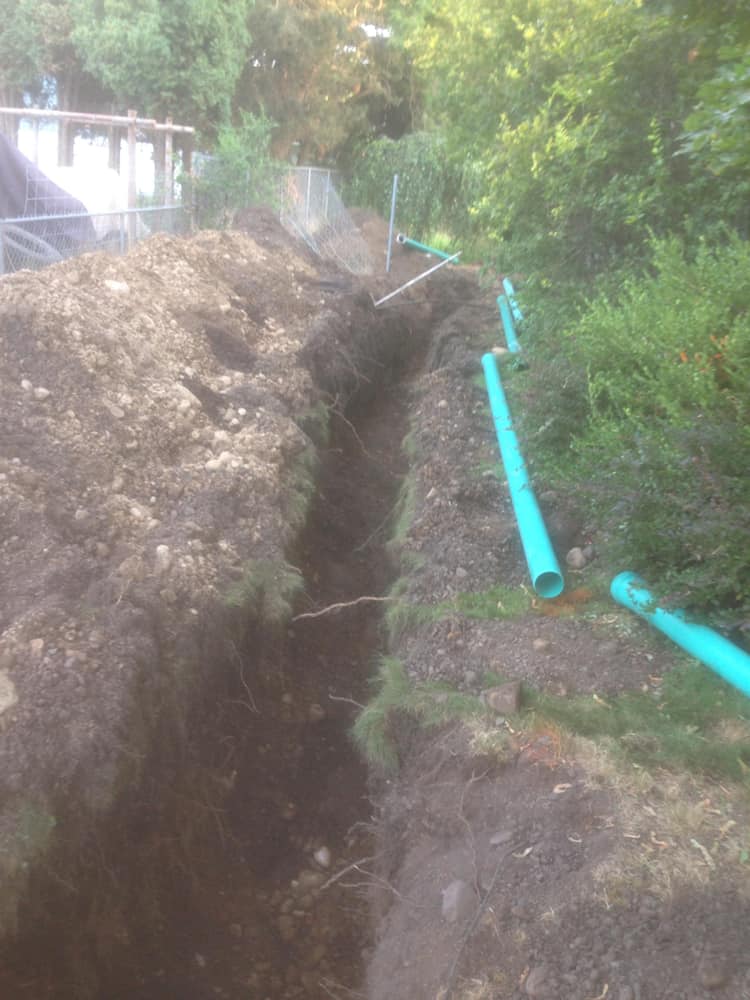 Various Projects, Site Development