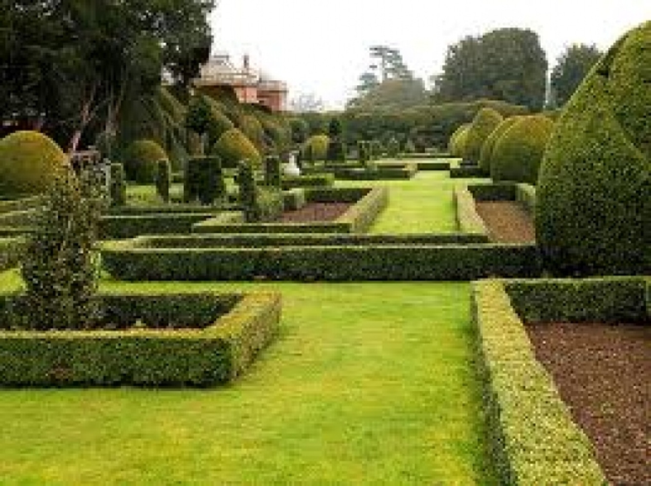 Machado's Landscape Construction 