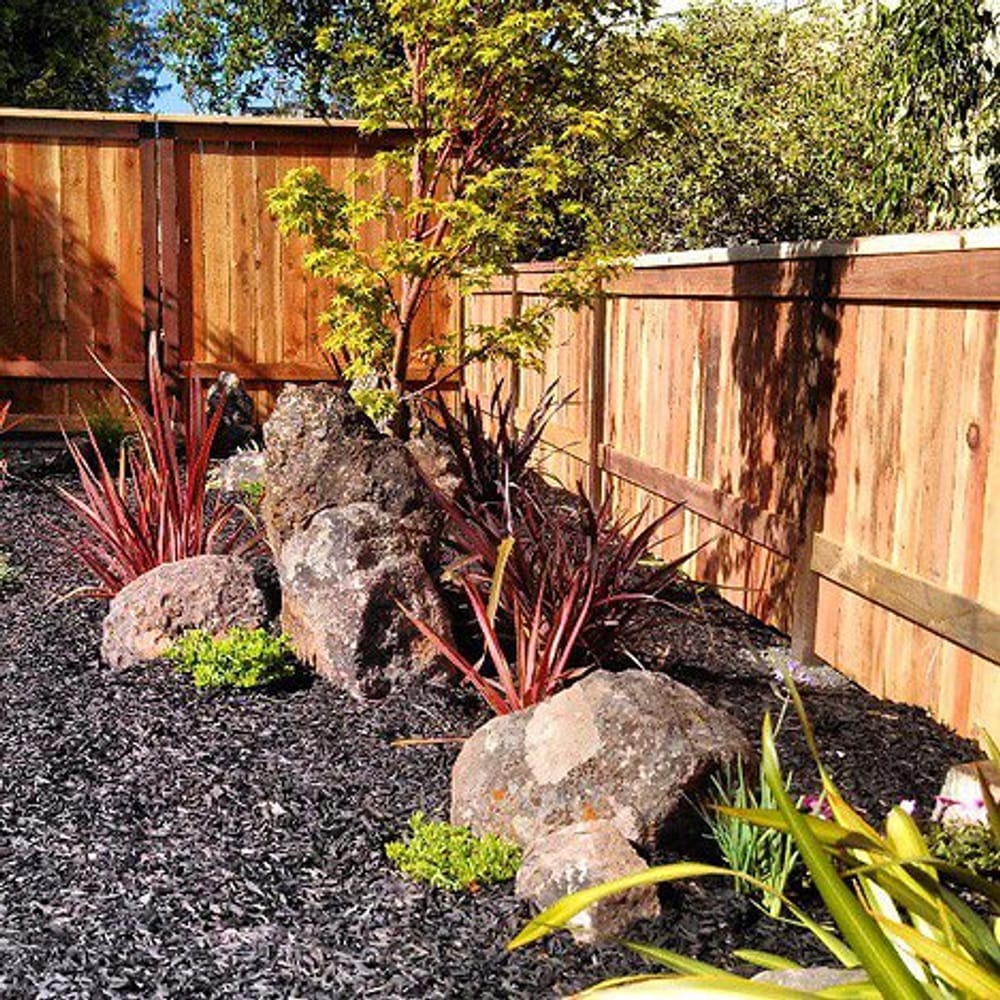 Hoopster Haven in Novato, Ca.