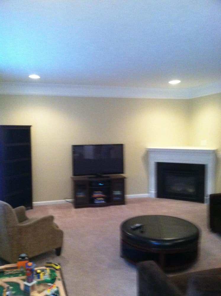 Profecto Painting Project 1