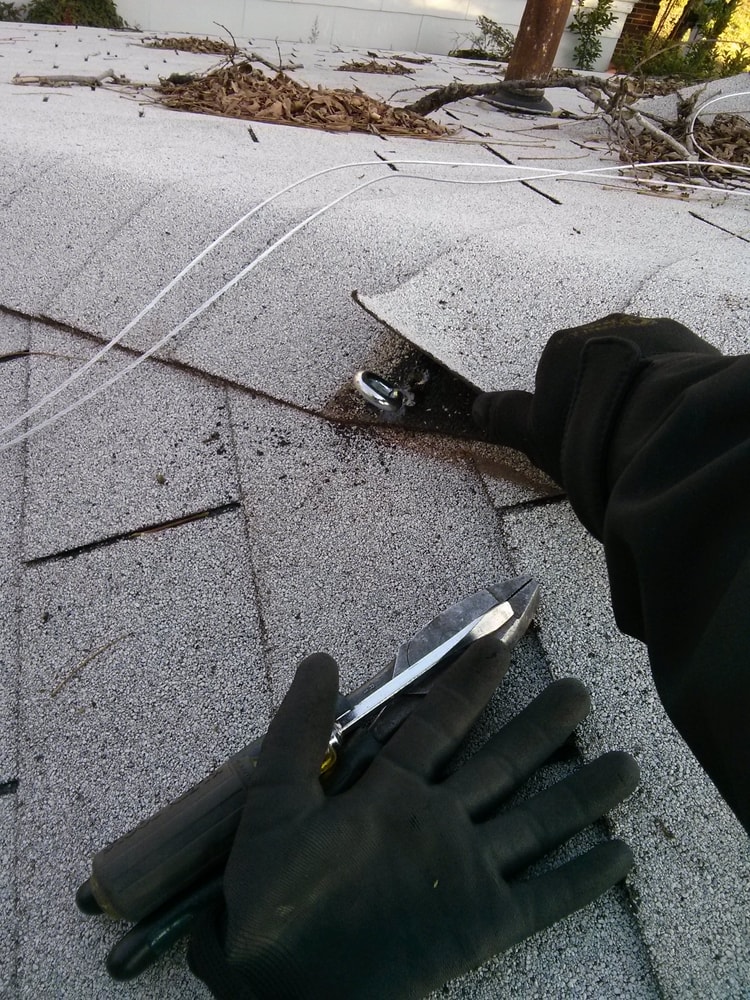 Tree damage/Service Riser repair