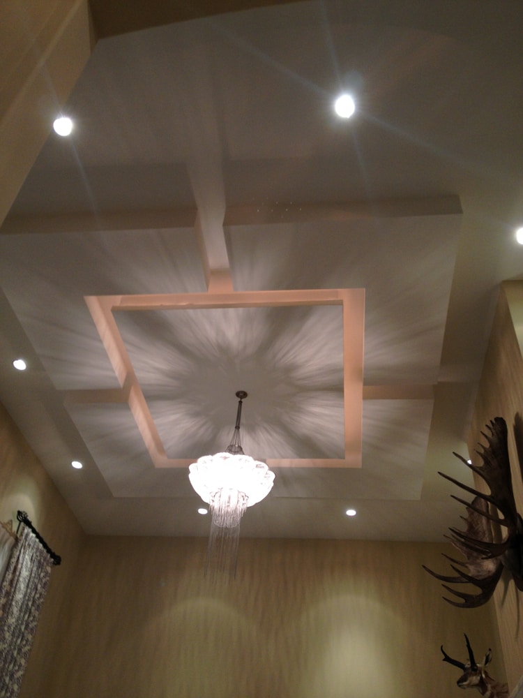 LED Lighting/Fiber Optics