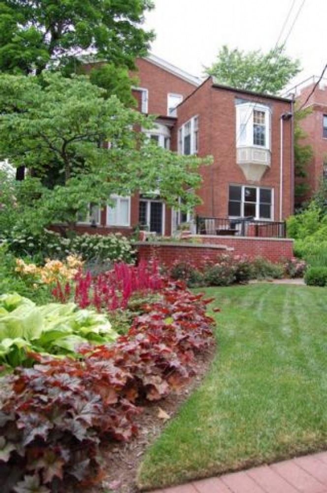 Colorful Backyard Landscape