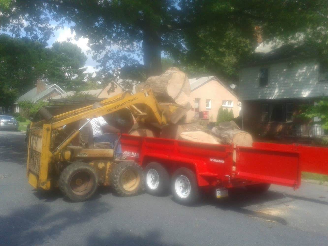 Photo(s) from Anthonys Tree Care