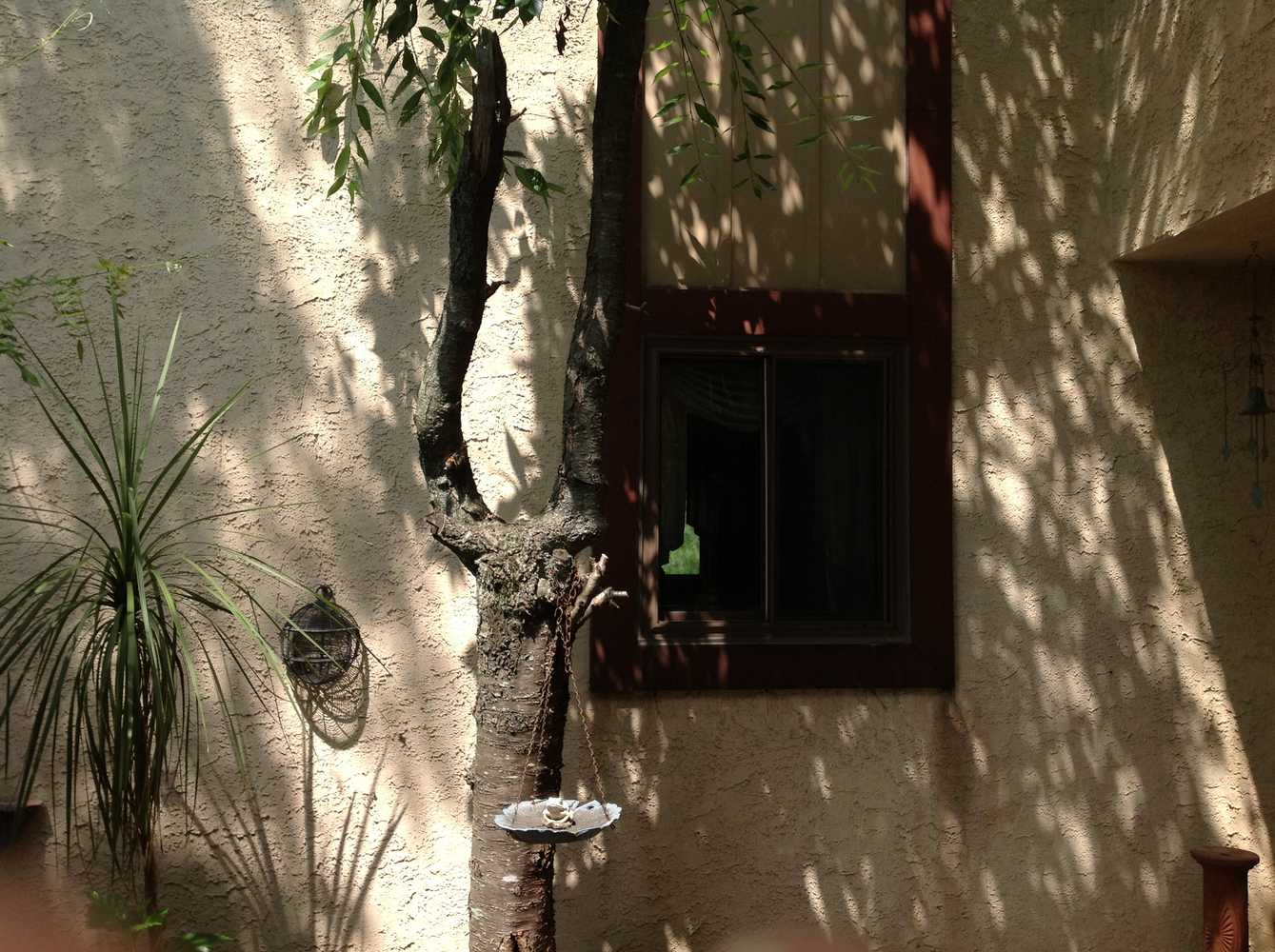 Exterior Stucco Power wash and repaint Photos