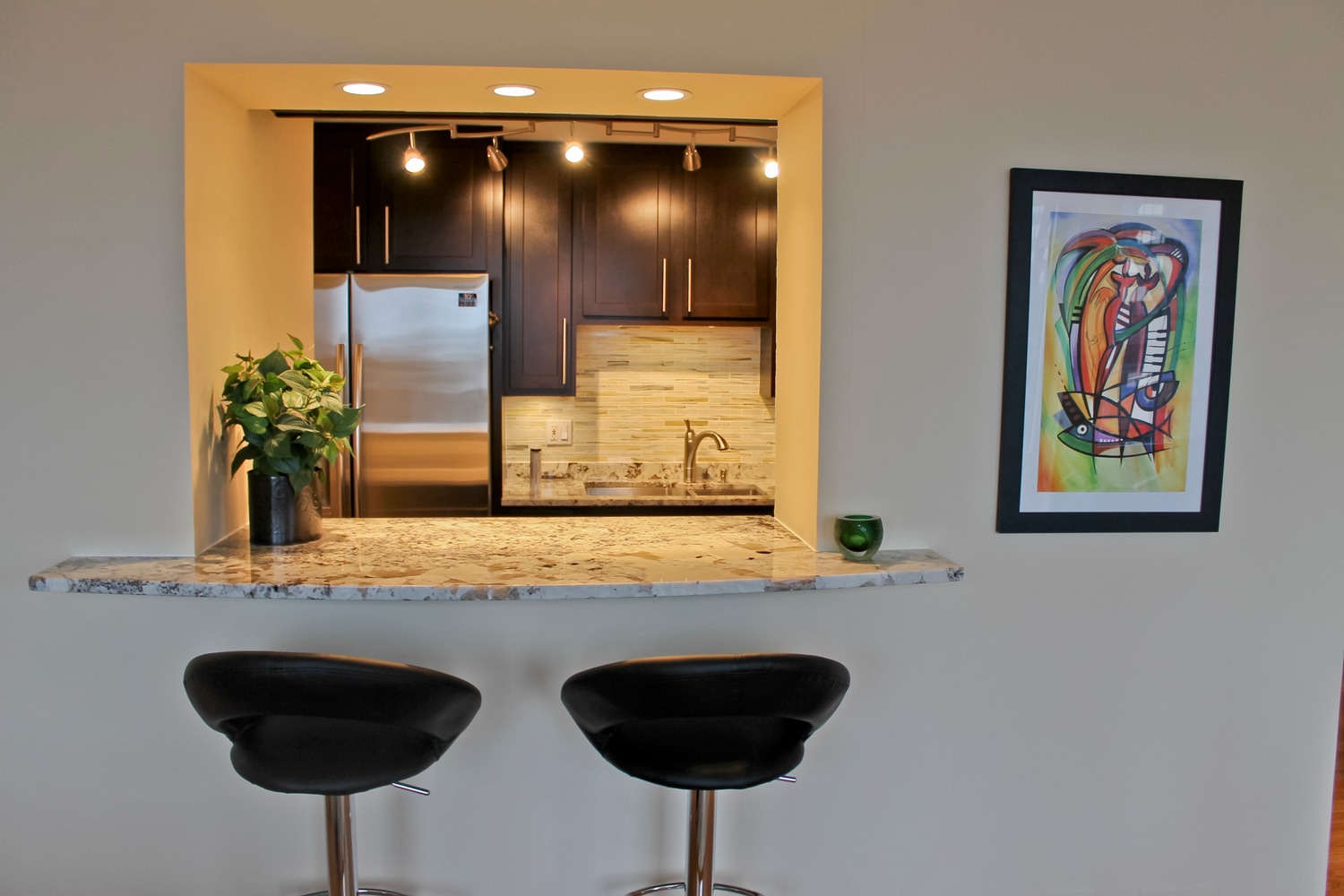 Condo Kitchen Remodel (Magnificent Mile)