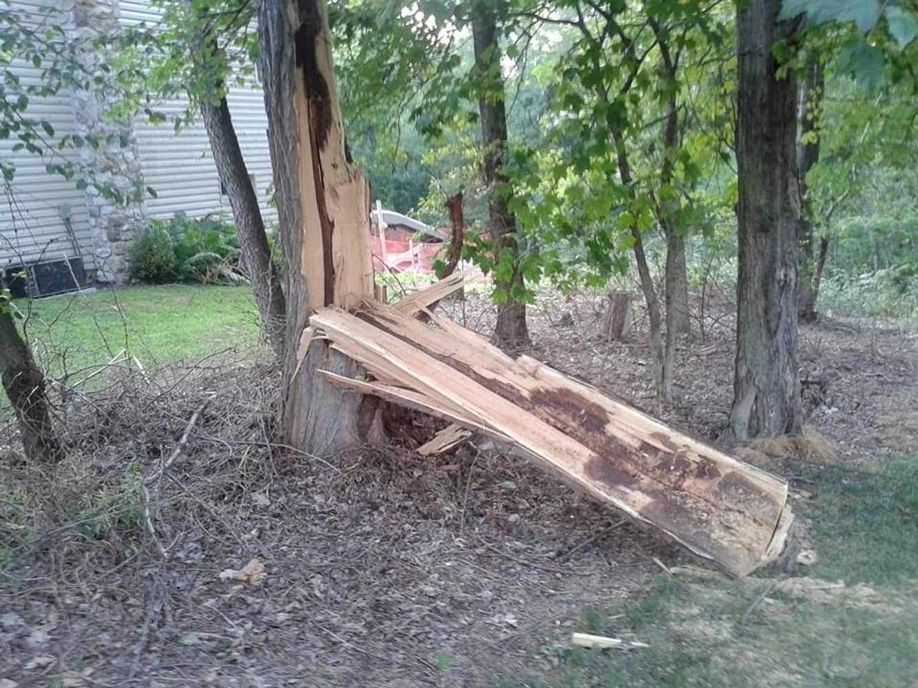 Photo(s) from Anthonys Tree Care